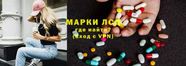 крисы Алзамай