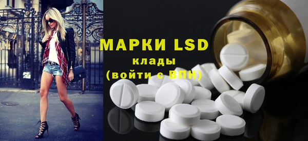 крисы Алзамай