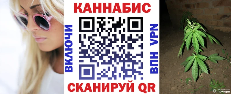 Бошки Шишки Bruce Banner  Павловская 